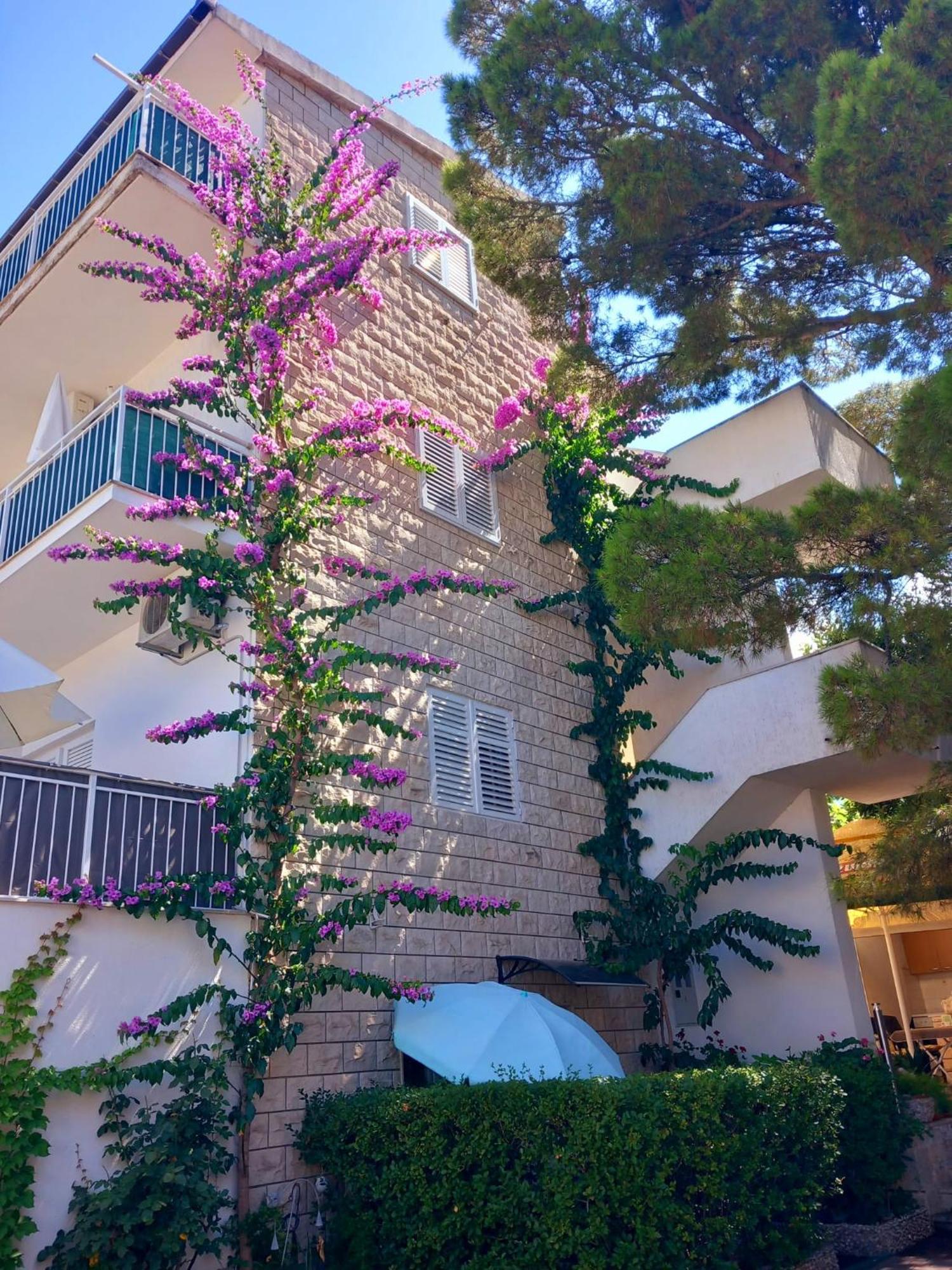 Apartmani Omrcen Baška Voda Buitenkant foto
